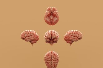 Photo neuroscience productivity