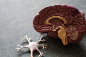Photo nervous system check