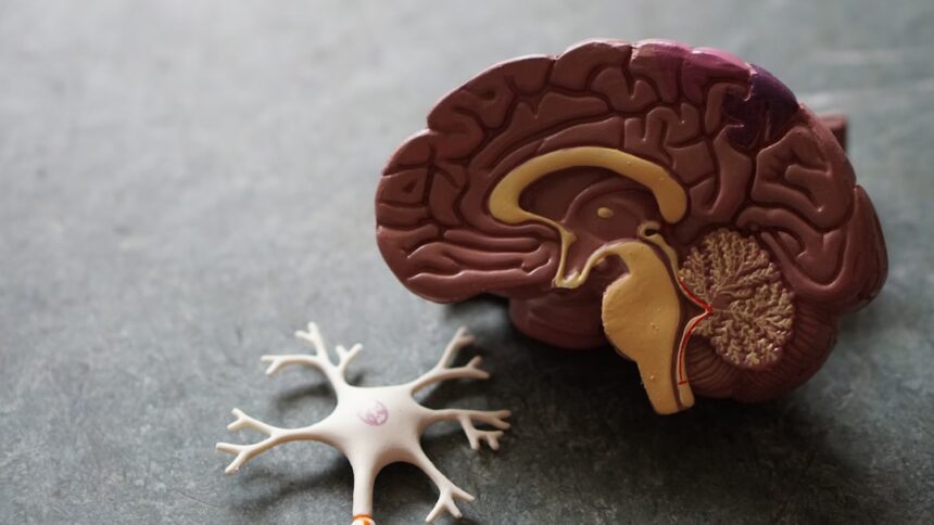 Photo nervous system check