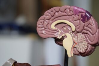 Photo nervous system issues