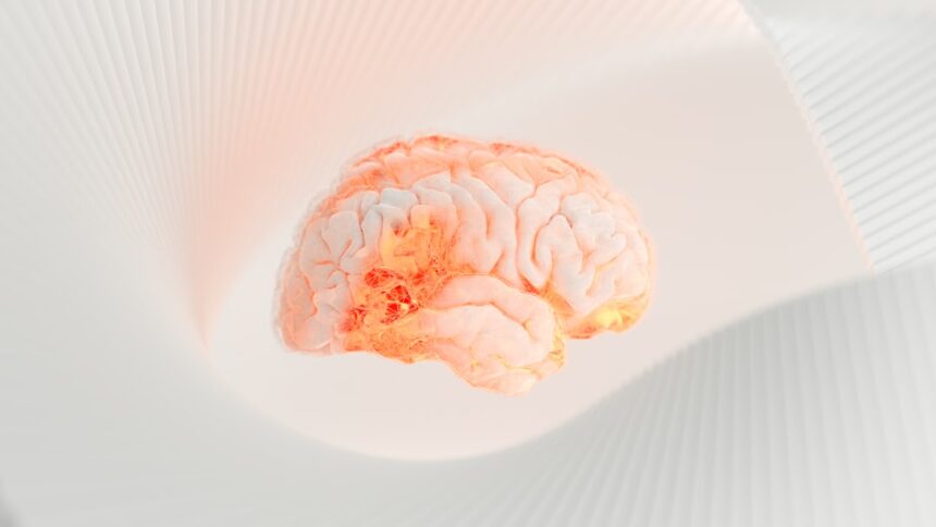 Photo brain cravings
