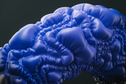 Photo survival focused brain