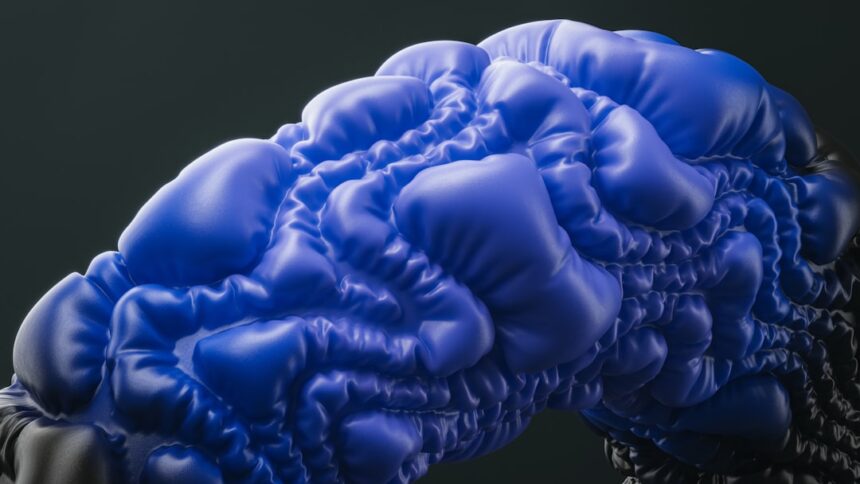 Photo survival focused brain